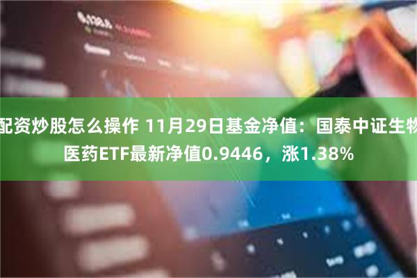 配资炒股怎么操作 11月29日基金净值：国泰中证生物医药ETF最新净值0.9446，涨1.38%