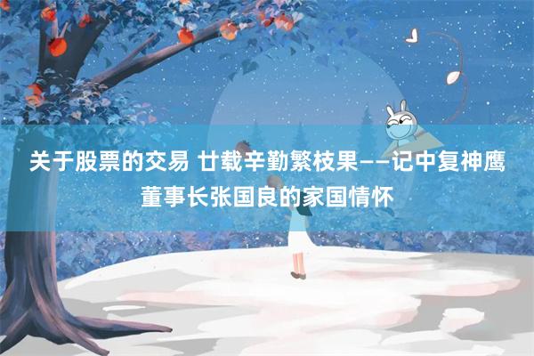 关于股票的交易 廿载辛勤繁枝果——记中复神鹰董事长张国良的家国情怀