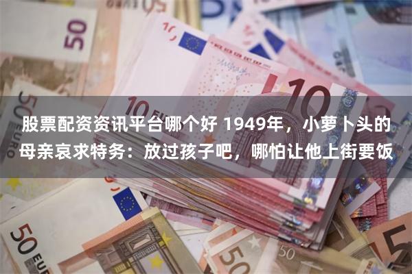 股票配资资讯平台哪个好 1949年，小萝卜头的母亲哀求特务：放过孩子吧，哪怕让他上街要饭