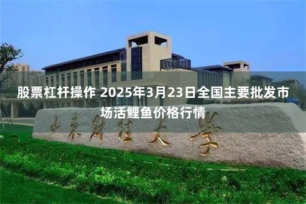 股票杠杆操作 2025年3月23日全国主要批发市场活鲤鱼价格行情