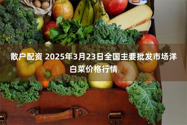 散户配资 2025年3月23日全国主要批发市场洋白菜价格行情