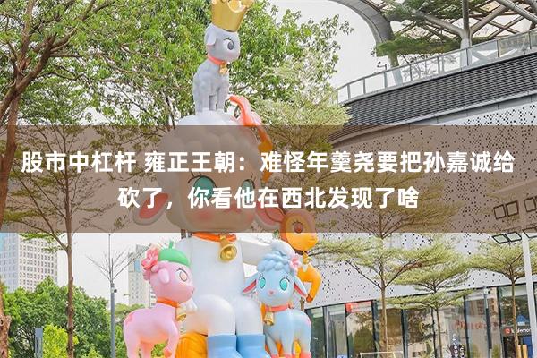 股市中杠杆 雍正王朝：难怪年羹尧要把孙嘉诚给砍了，你看他在西北发现了啥
