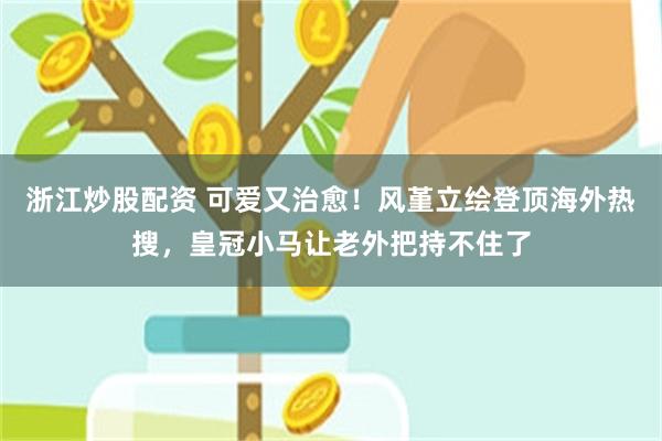 浙江炒股配资 可爱又治愈！风堇立绘登顶海外热搜，皇冠小马让老外把持不住了