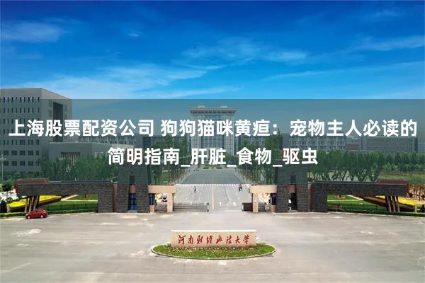 上海股票配资公司 狗狗猫咪黄疸：宠物主人必读的简明指南_肝脏_食物_驱虫