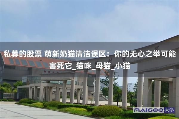 私募的股票 萌新奶猫清洁误区：你的无心之举可能害死它_猫咪_母猫_小猫
