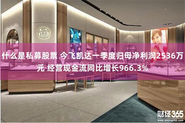 什么是私募股票 今飞凯达一季度归母净利润2536万元 经营现金流同比增长966.3%