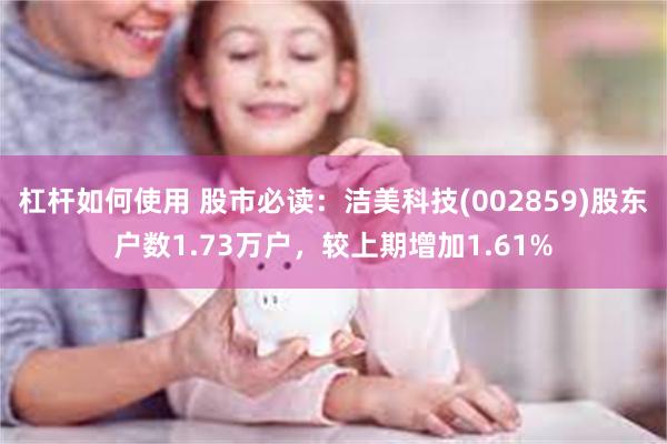 杠杆如何使用 股市必读：洁美科技(002859)股东户数1.73万户，较上期增加1.61%