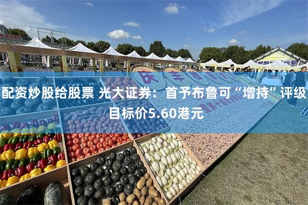配资炒股给股票 光大证券：首予布鲁可“增持”评级 目标价5.60港元