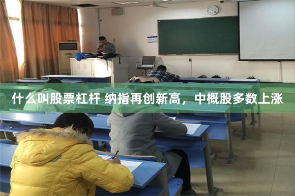 什么叫股票杠杆 纳指再创新高，中概股多数上涨