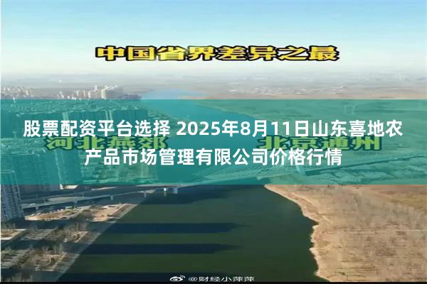 股票配资平台选择 2025年8月11日山东喜地农产品市场管理有限公司价格行情
