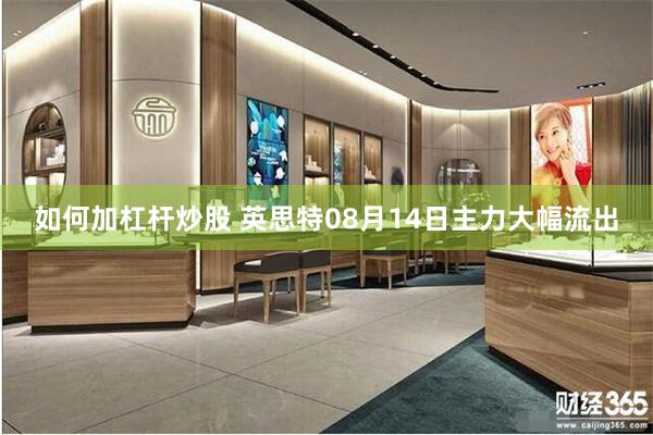 如何加杠杆炒股 英思特08月14日主力大幅流出