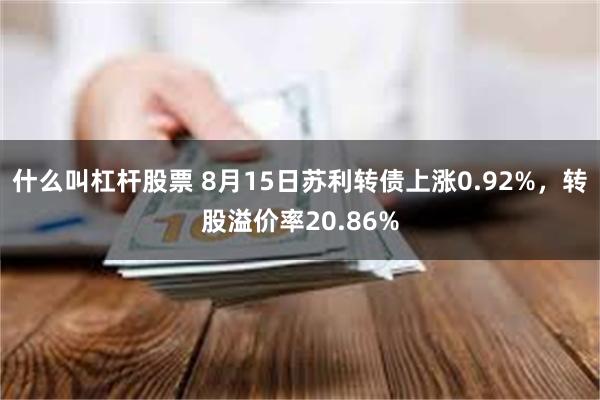 什么叫杠杆股票 8月15日苏利转债上涨0.92%，转股溢价率20.86%