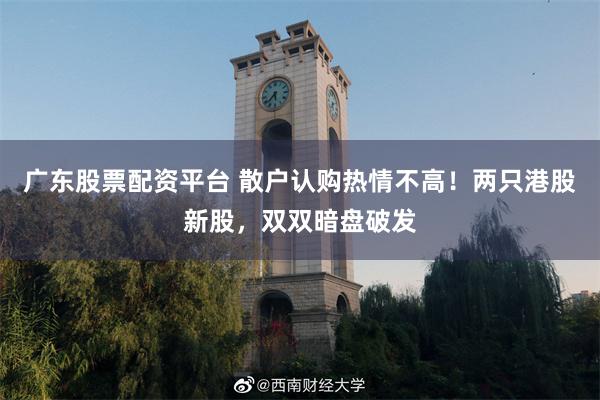 广东股票配资平台 散户认购热情不高！两只港股新股，双双暗盘破发
